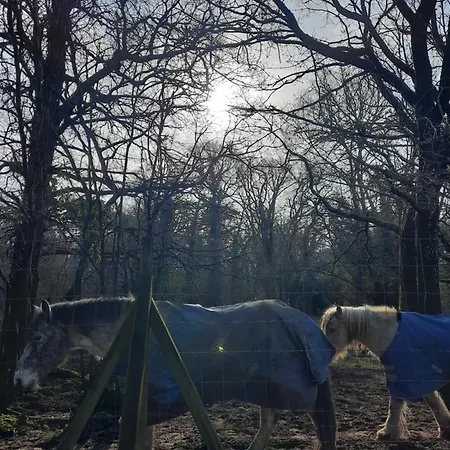 Mobil Charente-maritime La Pignade 营地 *
